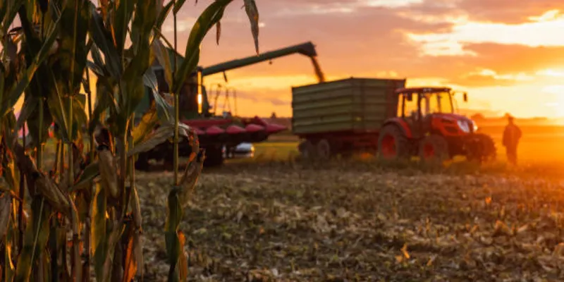 Maize Farmers Likely to Shift to Cotton, Soybean, Paddy and Ragi as Deficient Monsoon Looms: Crisil Report